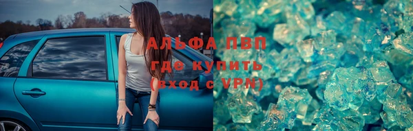 PSILOCYBIN Тутаев
