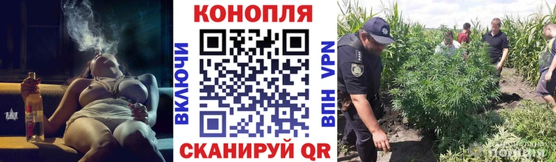 Бошки марихуана LSD WEED  наркотики  Дубовка 